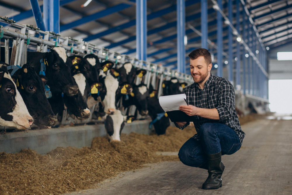 Dairy Farming & Livestock Management